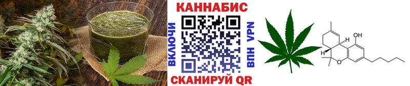 купить наркоту  Новомичуринск  omg как войти  Еда ТГК марихуана 