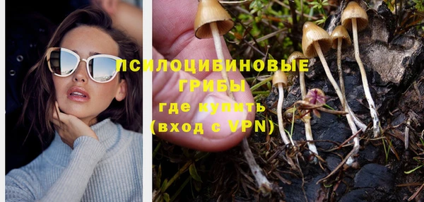 а пвп мука Богданович