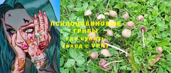 а пвп мука Богородицк
