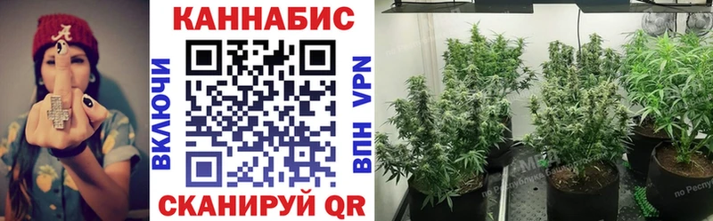 Бошки Шишки конопля  Новомичуринск 